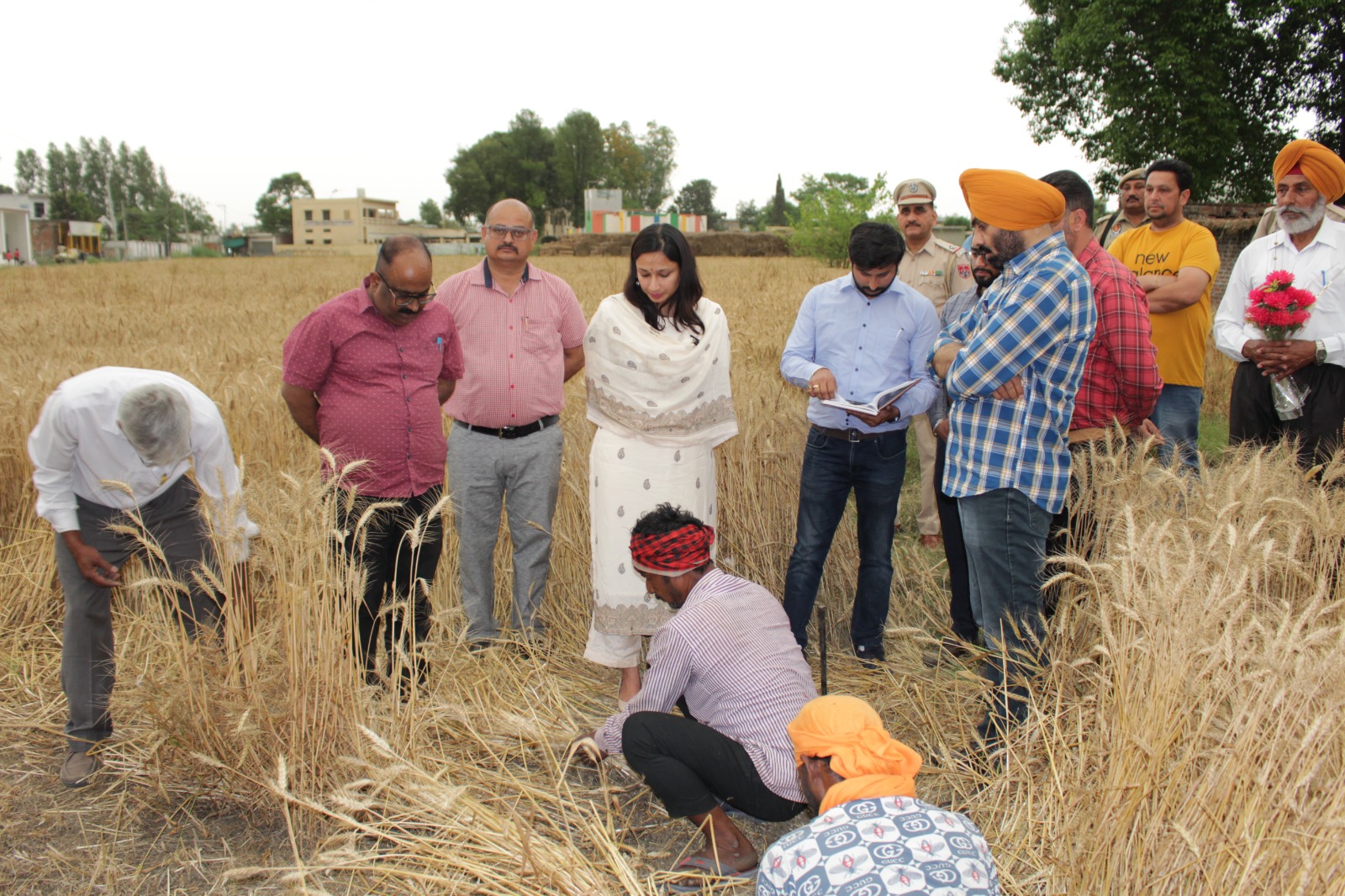Farmers adopting wheat sowing with surface seeder - Komal Mittal